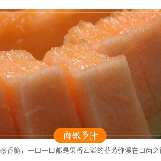 莘县西州蜜 1斤以上