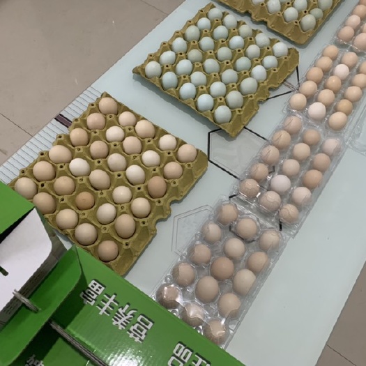 广宗县土鸡蛋 正宗散养土鸡受精蛋，本土鸡受精蛋含钙高，蛋白质丰富老人小孩孕