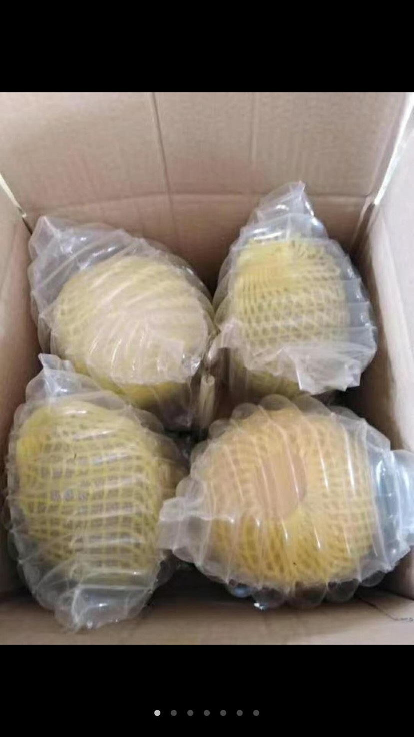 西州蜜 1斤以上