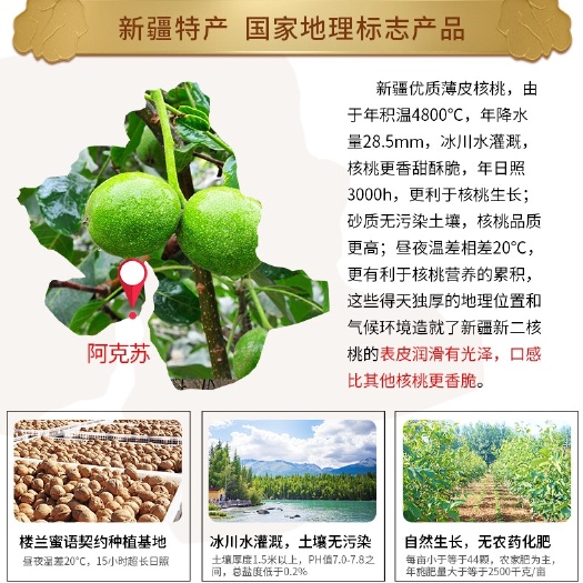 库尔勒市 阿克苏纸皮核桃