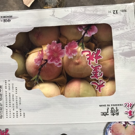 宁波奉化水蜜桃 4两以上 45mm以上