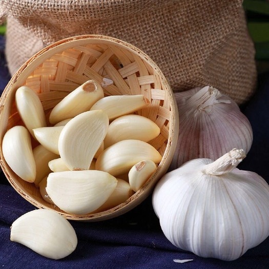 莘县 2019新鲜大蒜可腌制糖蒜