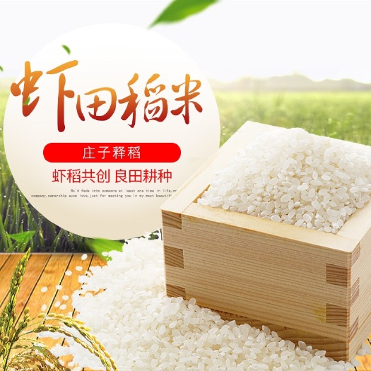 蒙城县 蒙城县虾稻米散米集合装大米包装大米