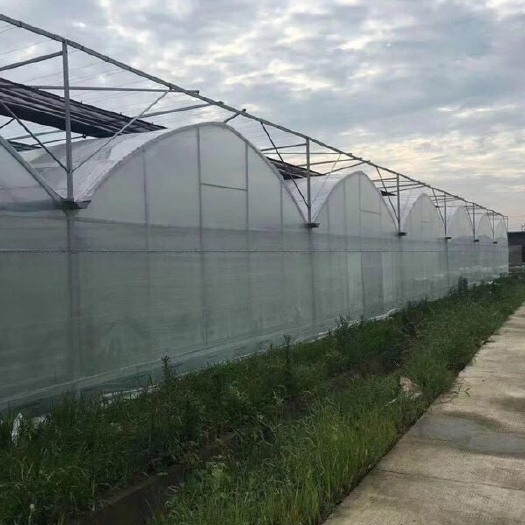 无锡大棚杆 蔬菜连体大棚