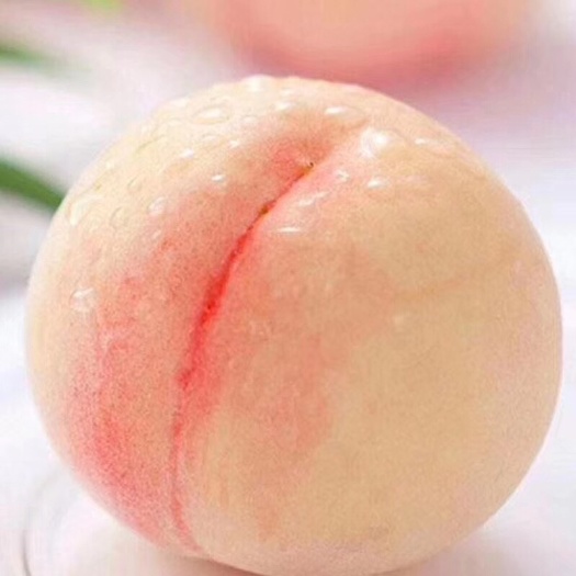 常州阳山水蜜桃 70mm以上 7两到8两