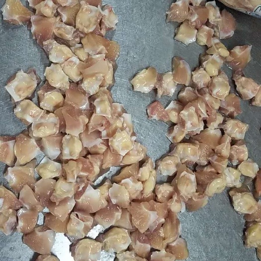 滨州 掌中宝5g一下