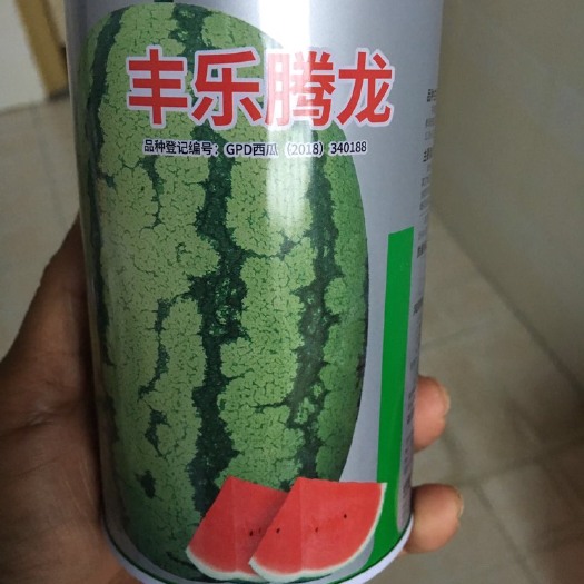 辰溪县早佳8424 新开荒地各类品种共计六万多株