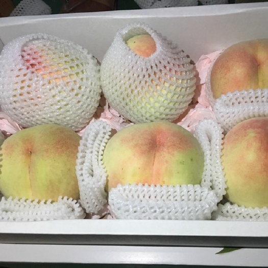 常州 无锡阳山水蜜桃现采当季白凤8个礼盒装