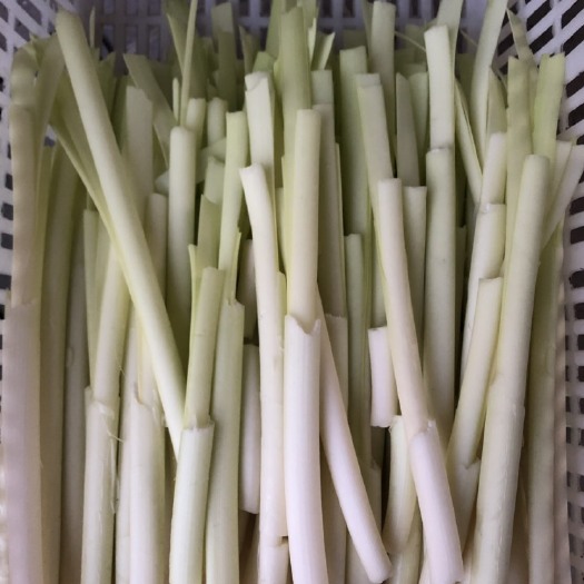 微山县蒲菜