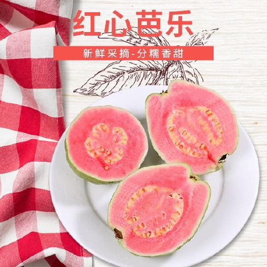 漳州软糯红心芭乐当季新鲜番石榴现摘热带红肉水果应季一箱也是批发价