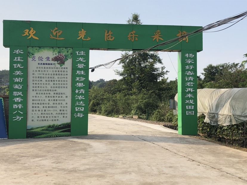  美国克伦生有机葡萄预售已经火热预定中……