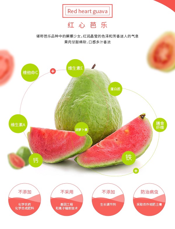 软糯红心芭乐当季新鲜番石榴现摘热带红肉水果应季一箱也是批发价
