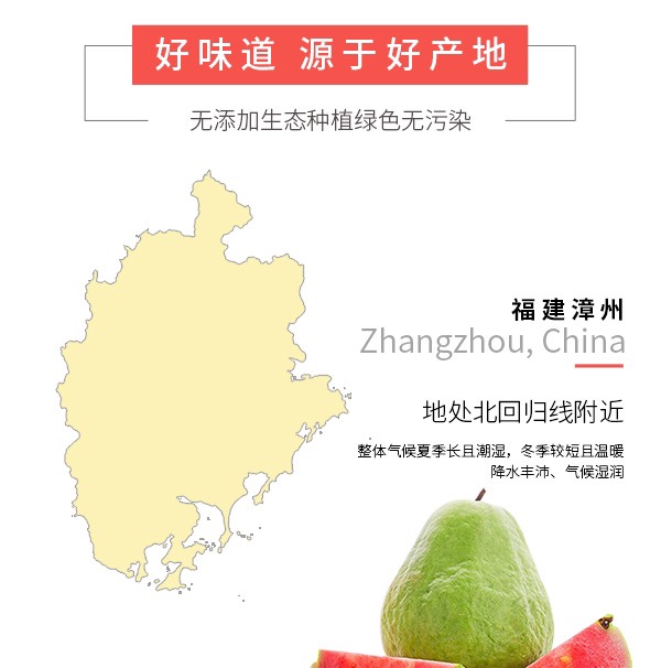 软糯红心芭乐当季新鲜番石榴现摘热带红肉水果应季一箱也是批发价