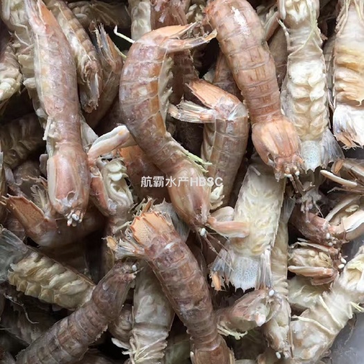湛江 厂家直销 爬爬虾 皮皮虾 虾姑 小 中 大 重量可定做