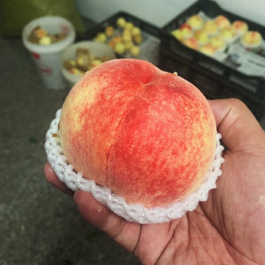 上海 南汇水蜜桃自产自销超甜个大批发价