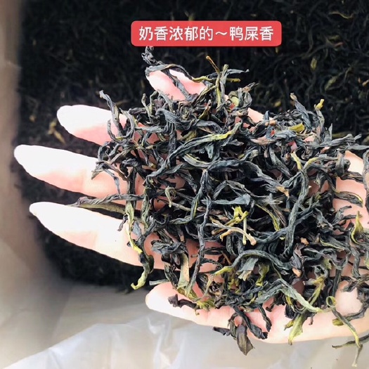 饶平县 凤凰单枞茶鸭屎香 春茶清香型潮州乌岽单丛茶乌龙茶500g