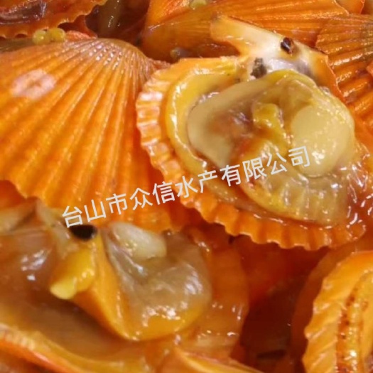 湛江 自助餐食材冷冻黄金贝 个头均匀 价格实惠