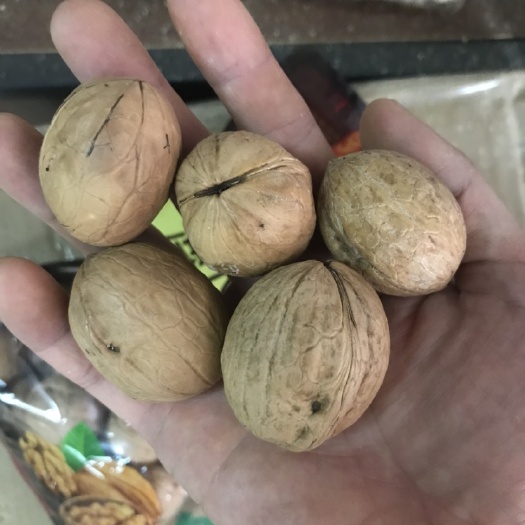 文山市 薄皮核桃，质量保证！