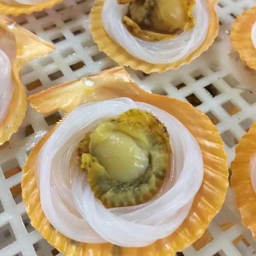 湛江 大量提供 蒜蓉粉丝扇贝 金玉满堂冷冻扇贝 200片/件