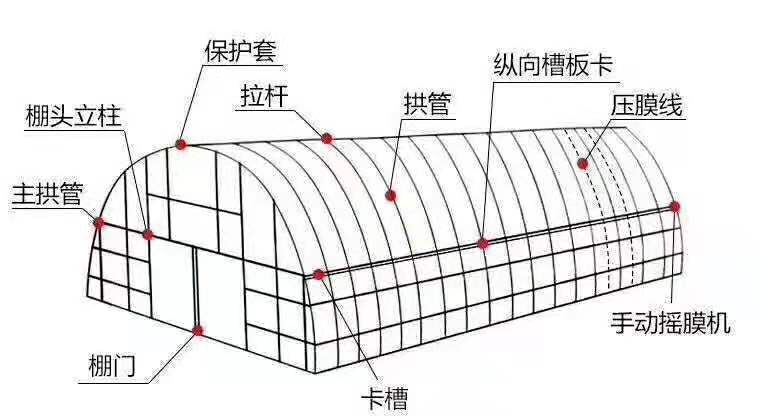 钢管大棚 本公司专业生产：温室大棚、蔬菜大棚、养殖大棚等各种规格大棚。