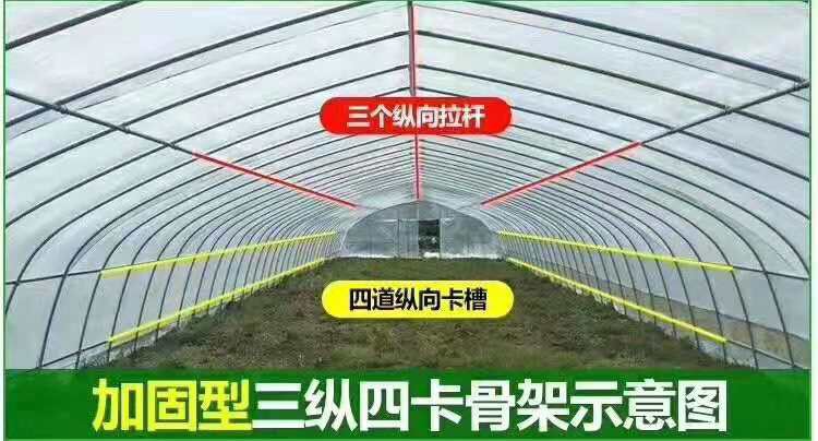 钢管大棚 本公司专业生产：温室大棚、蔬菜大棚、养殖大棚等各种规格大棚。