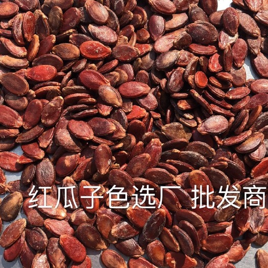 信丰县红瓜子 袋装