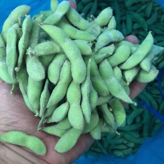 莘县 速冻毛豆大量加工