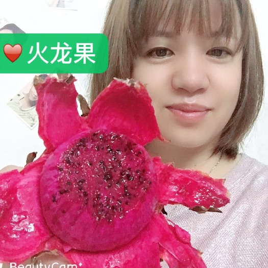 台山市 火龙果