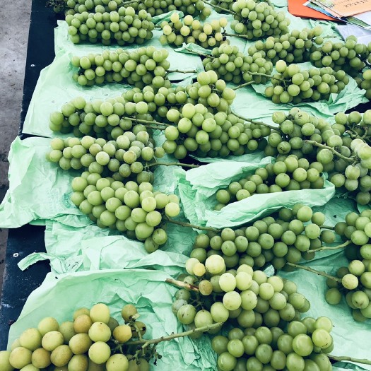 西昌市 代购阳光玫瑰晴王，香甜可口，有玫瑰花香的味道，按级按质论价