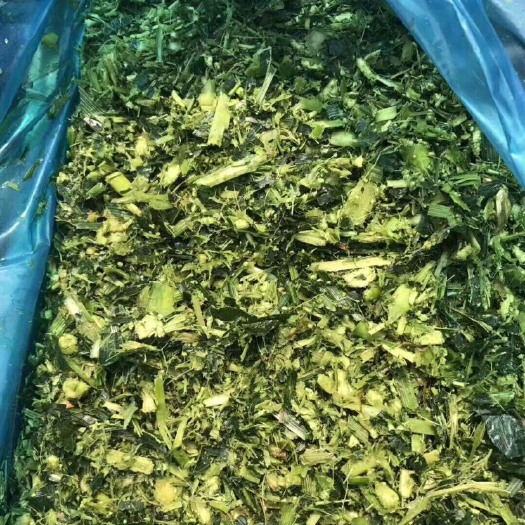 玉田县青储草 牛羊鹿鹅草料，玉米秸秆青储