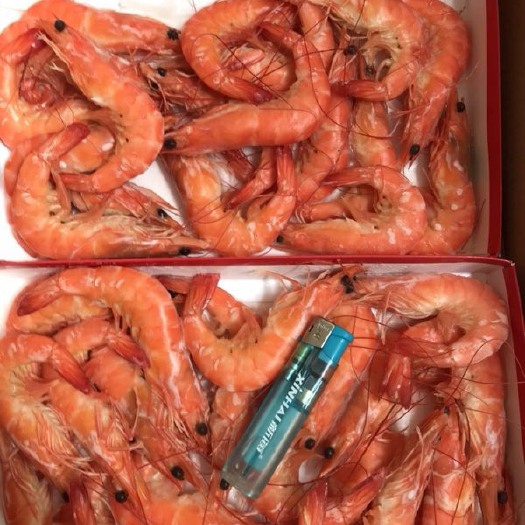 成都红虾 海庆兄弟北海香虾