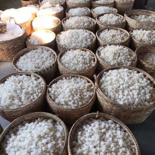 瑞丽市 拉丝雪燕，产地价格，一手货源