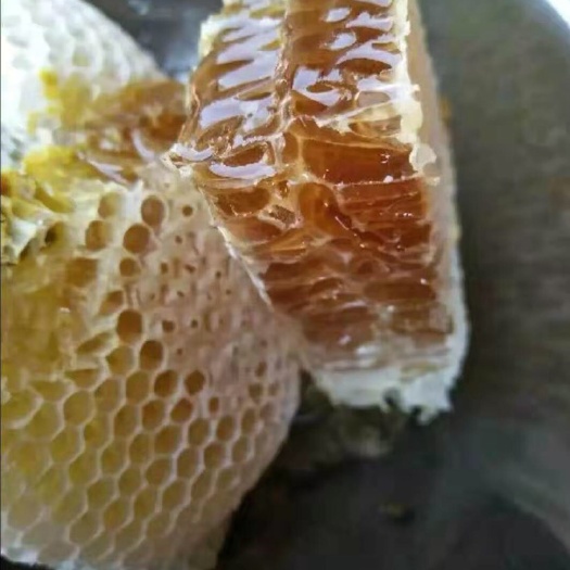 嘉兴 天然蜂蜜