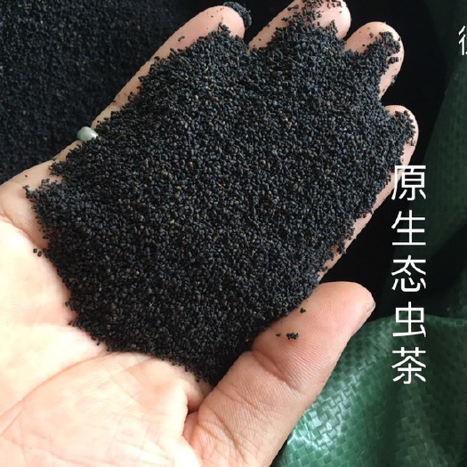 虫屎茶  虫茶3年虫茶