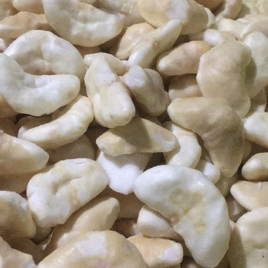 汕头新鲜菱角米60斤起批，当天采摘当天剥壳当天销售！
