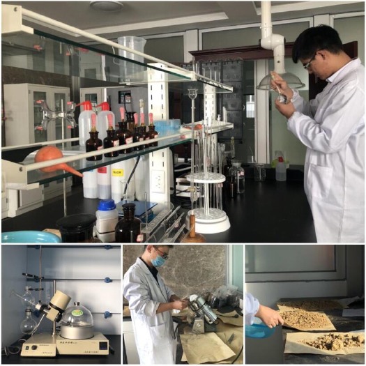 光泽县生物有机肥，特制