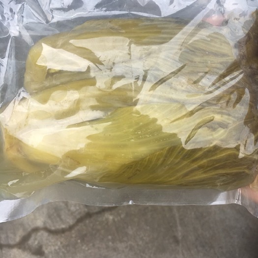 佛山其他酸菜 酸菜