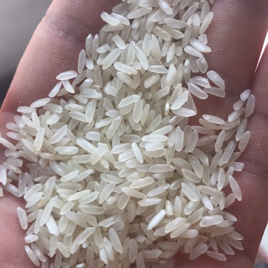 淮南碎米 一等品 一季稻 籼米