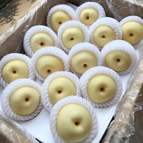 晋州市皇冠梨大量现货