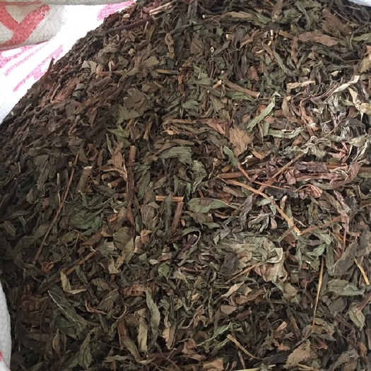 玉林 佩兰