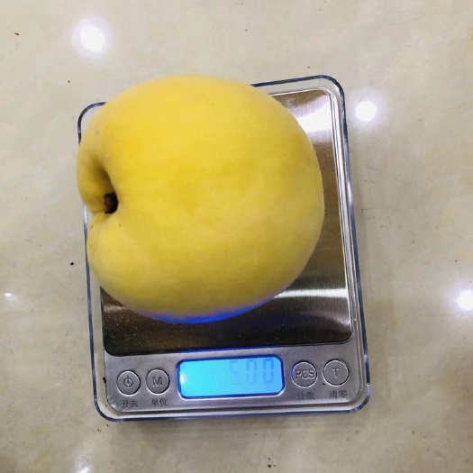 炎陵县 炎陵锦绣黄桃