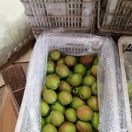 东莞市香梨 150-200g 60mm以上