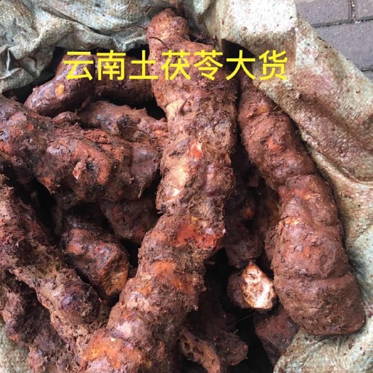 中山市大量批发新鲜土茯苓，云南产地一手货源！