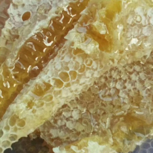 兴业县 荔枝蜜