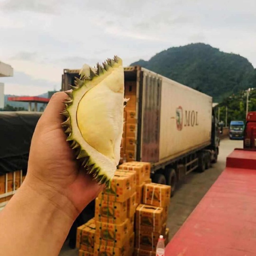 兴化市泰国金枕榴莲 精品泰国南部金枕，一级二级常年供应