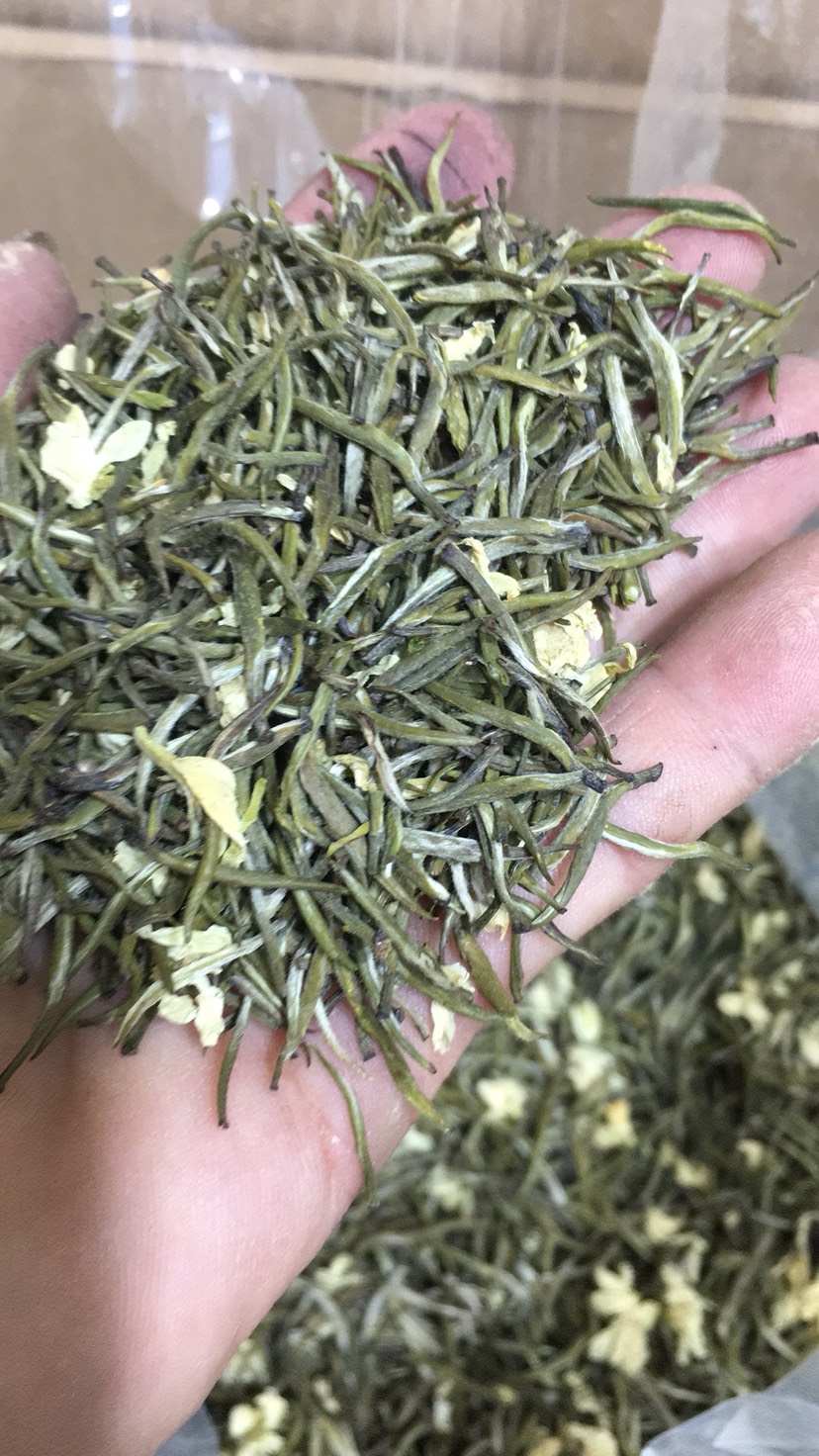 茉莉花茶  优质清香浓郁鲜香茉莉雪竹花茶125克罐装