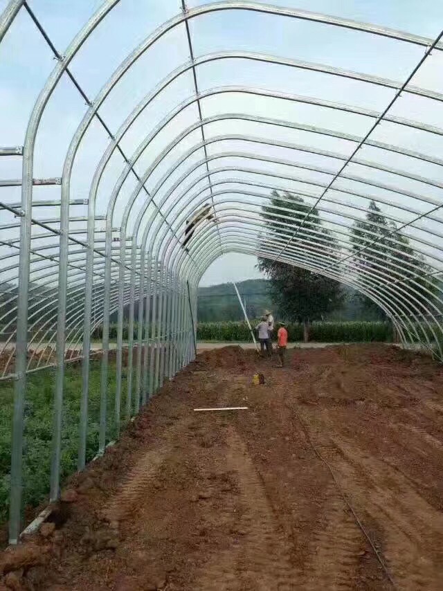 蔬菜大棚  日光温室是节能日光温室的简称，又称暖棚，有两边山墙维护后墙体