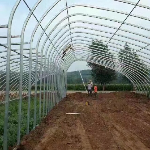 天津蔬菜大棚  日光温室是节能日光温室的简称，又称暖棚，有两边山墙维护后墙体