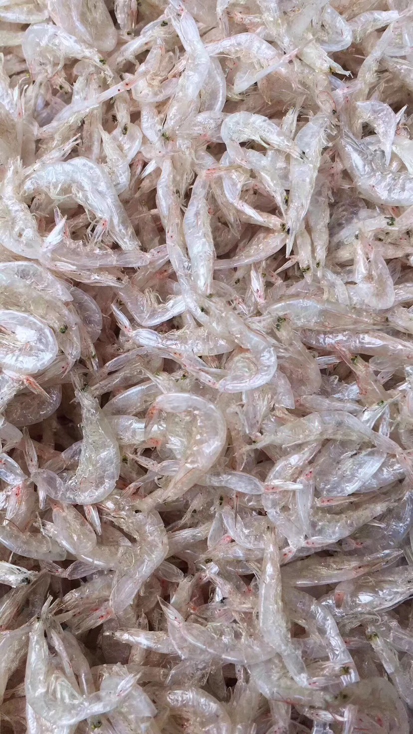 茂名海虾皮干货，淡干，足干