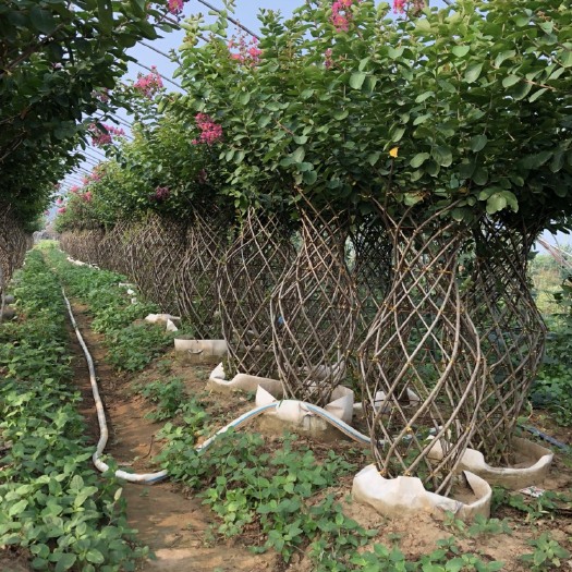  紫薇花瓶，花瓶骨架，模具